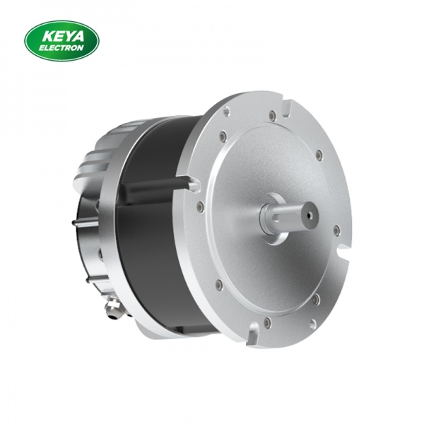 MILE.COM米乐体育(中国大陆)科技公司215系列48V 4000W 1500RPM